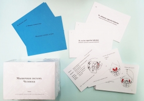 Анатомические карточки «Мышечная система человека»