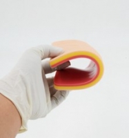 ATM09 Учебная модель для демонстрации и отработки навыков наложения швов