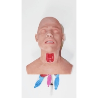 Тренажер продвинутой интубации